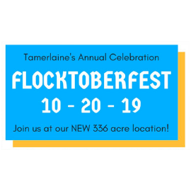 Flocktoberfest 2019